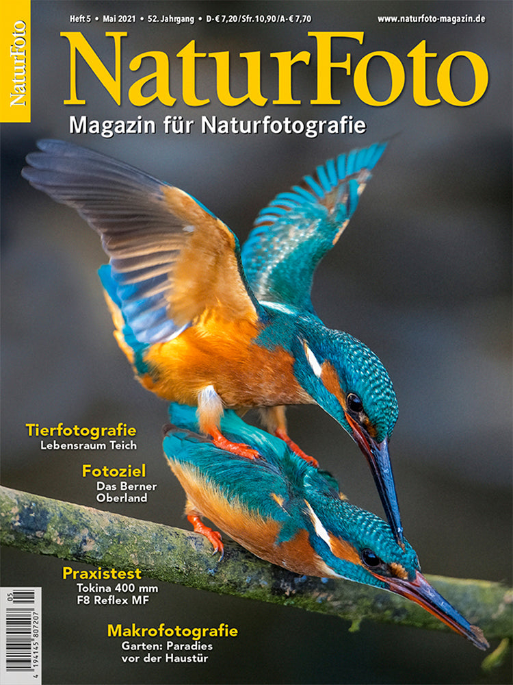 NaturFoto 5/2021
